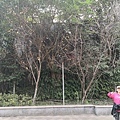 269970289_3033474466968165_4800899187297853868_n.jpg