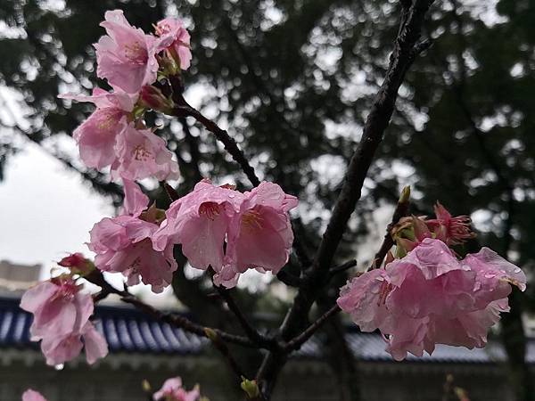 274301606_3068421633473448_6190997530660381735_n.jpg 274301606_3068421633473448_6190997530660381735_n.jpg