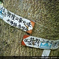 興隆山 039.JPG