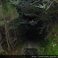 天母古道 057.JPG