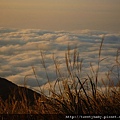 擎天崗山.竹蒿山.大屯山夕陽雲海 187.JPG