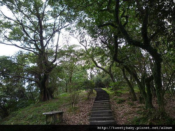 銅鑼燒.錦峰山.臥龍山.七堵臭粿仔.鐵路公園 027.JPG