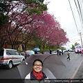 老泉杏花林.救千宮 052.JPG