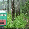 颱風雨五堵健行未竟之旅 070.JPG