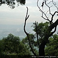 崙子山 075.JPG