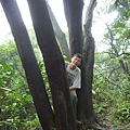 崙子山 081.JPG
