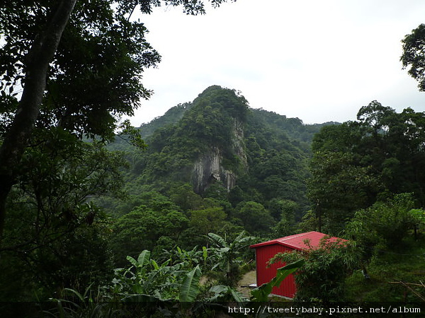 石碇雞冠山 012.JPG