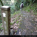 三貂大崙.三貂嶺山.金字碑古道 179.JPG