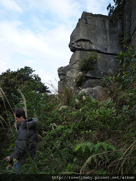 大炮岩.新北投山 024.JPG