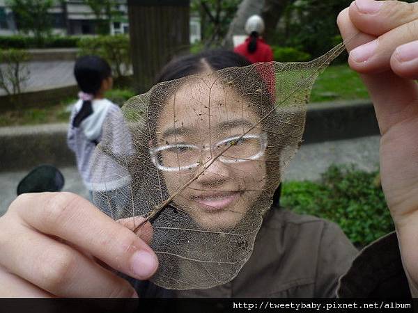 大坑山、倒照湖山失敗行.抱子腳山(140高地公園) 083.JPG