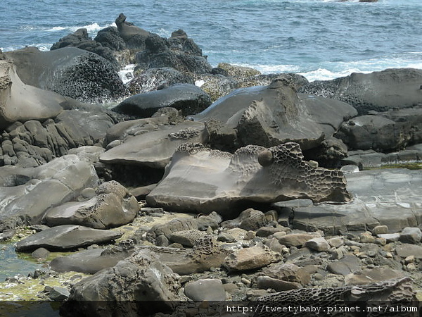 姐姐校際交流 105.JPG