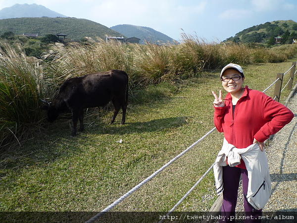 北五指山 134.JPG