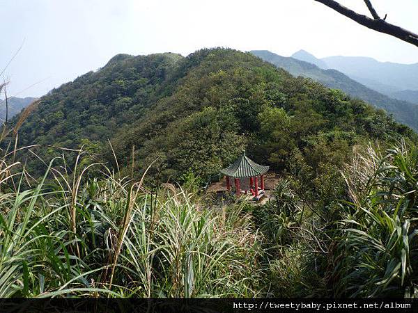三貂大崙.三貂嶺山.金字碑古道 165.JPG