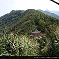 三貂大崙.三貂嶺山.金字碑古道 165.JPG