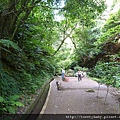 貴子坑親山步道.小坪頂山 098.JPG