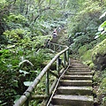 雙溪蝙蝠山 046.JPG