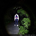 天母古道 063.JPG