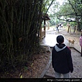 漁僮小舖.富陽生態公園.福州山.中埔山.法蘭克初體驗 038.JPG