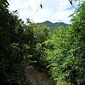 貴子坑親山步道.小坪頂山 046.JPG