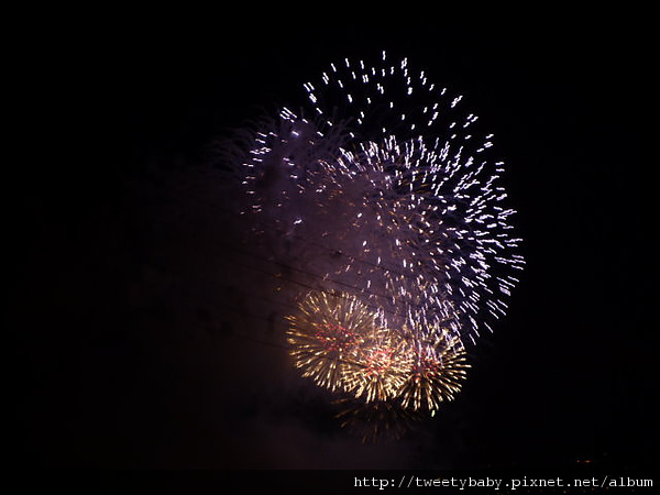 中華名國99雙十煙火 057.JPG