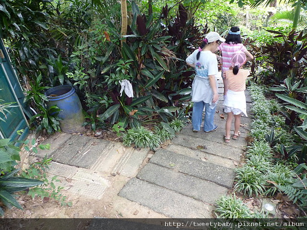 甘露寺.南天母山.天上山 071.JPG