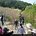 木柵杏花林.待老坑山.救千宮步道 006.JPG