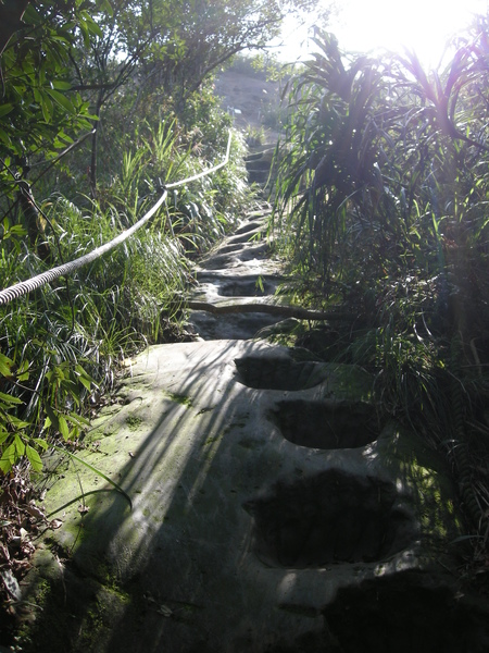 971023登上慈母嶺