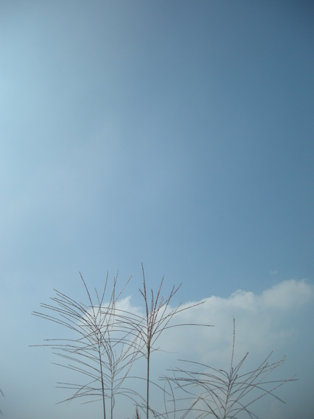 971023天氣晴