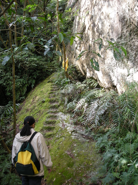 石燭尖.九龍山.峰頭尖東峰 068.JPG