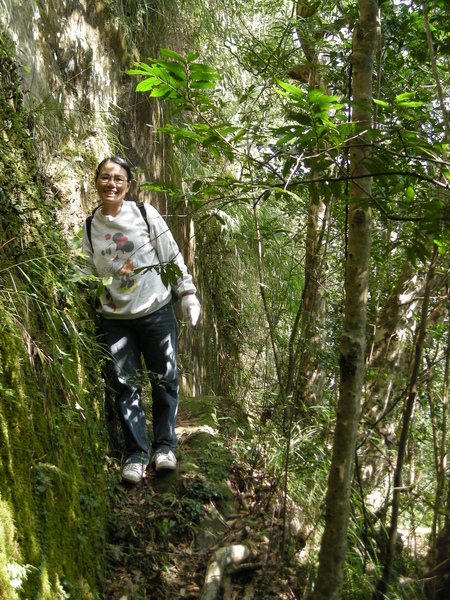 石燭尖.九龍山.峰頭尖東峰 101.JPG