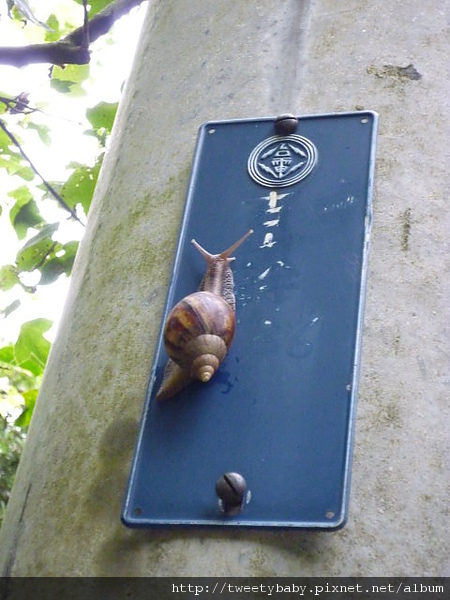 大墓公.承天禪寺.火焰山 085.JPG