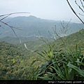 三貂大崙.三貂嶺山.金字碑古道 136.JPG