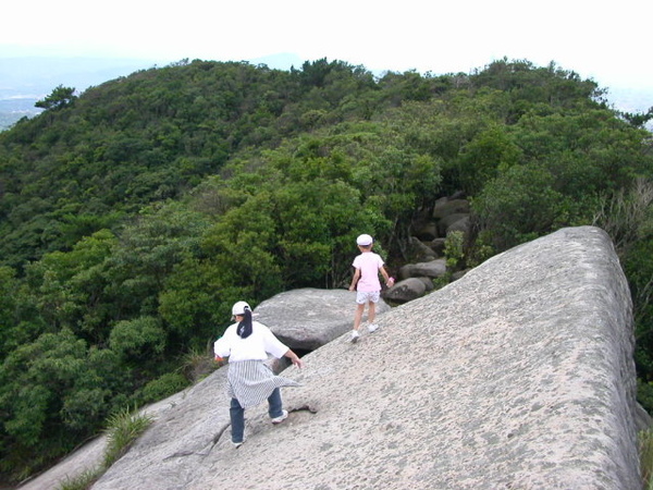 大崙頭山.大崙尾山.龍船岩 034.JPG