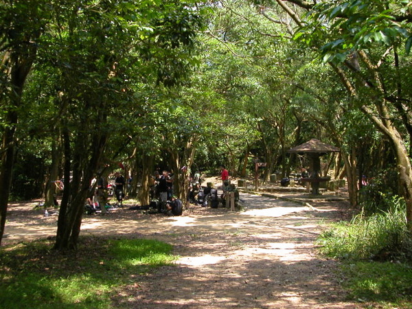 大崙頭山.大崙尾山.龍船岩 117.JPG