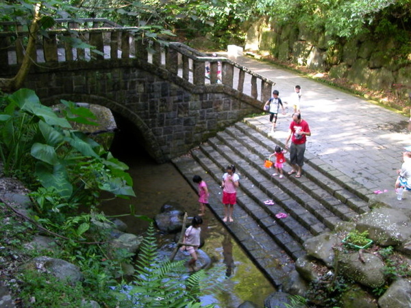 虎山溪自然步道 043.JPG