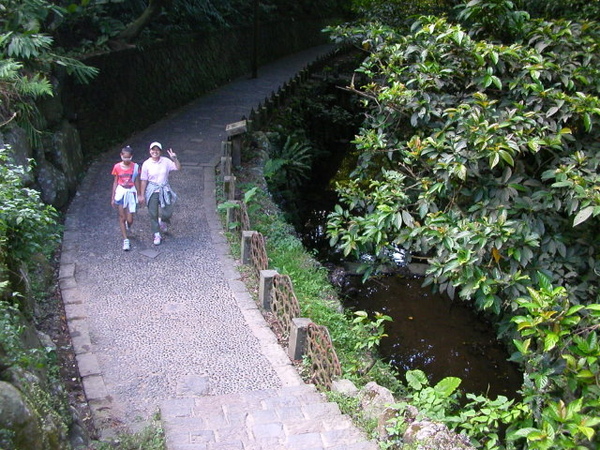 虎山溪自然步道 049.JPG