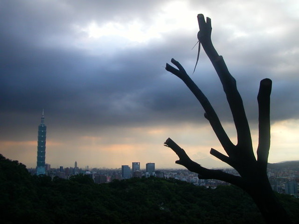 虎山溪自然步道 082.JPG