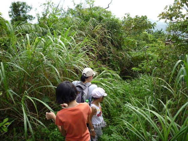 烏月山之滑鐵爐 146.JPG