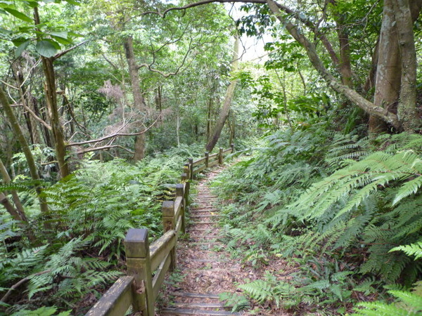 尾寮古道北段 059.JPG