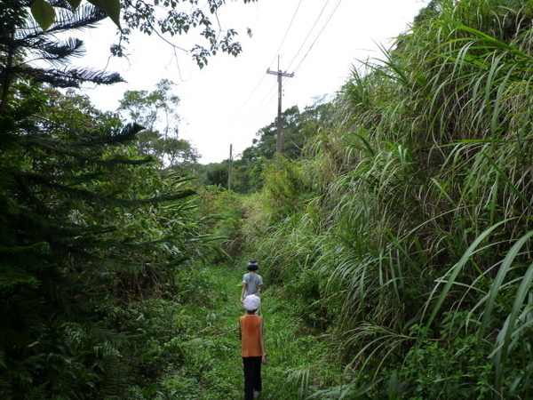 尾寮古道北段 077.JPG