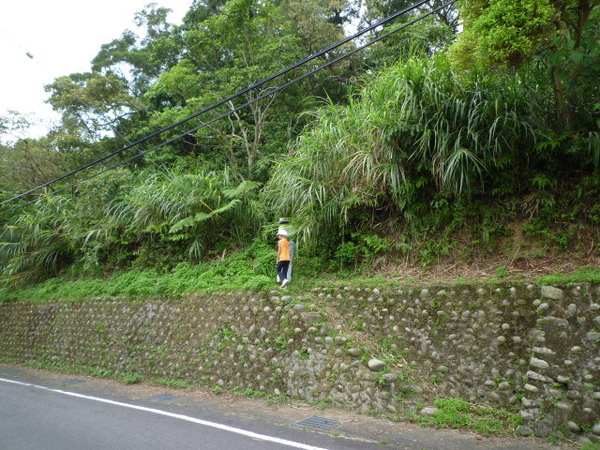 尾寮古道北段 080.JPG