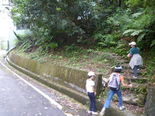 尾寮古道北段.南段 019.JPG