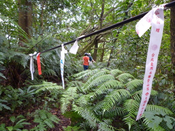 尾寮古道北段.南段 062.JPG