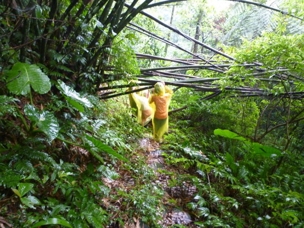 尾寮古道北段.南段 073.JPG