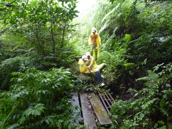 尾寮古道北段.南段 092.JPG