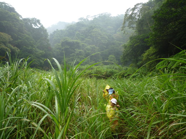 尾寮古道北段.南段 111.JPG