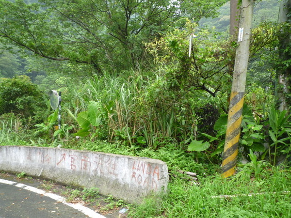 尾寮古道北段.南段 142.JPG