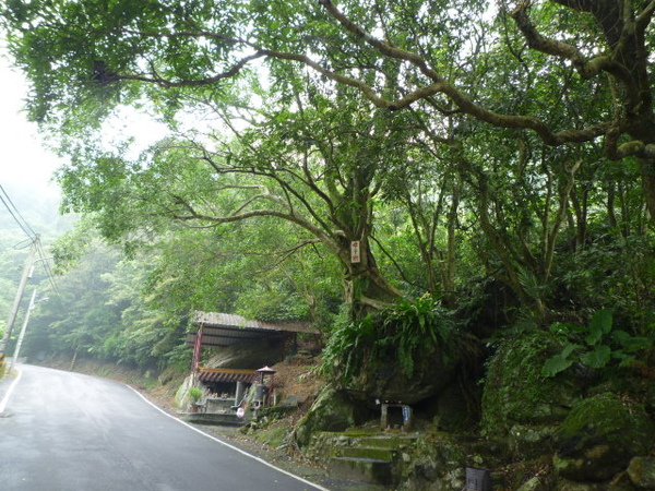 尾寮古道北段.南段 143.JPG