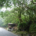 尾寮古道北段.南段 143.JPG