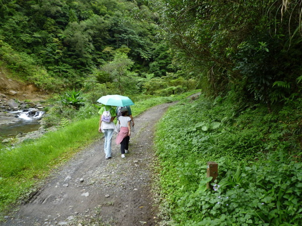桶後越嶺 218.JPG